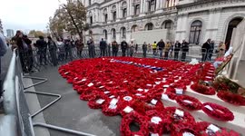 Brits continue to pay respects for hours at Cenotaph in London on Remembrance Sunday