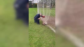 'Most tangled fox ever seen' has been rescued from football nets on a playing field