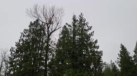 Winds and Rain Slow in South Surrey, Canada After Major Storm Ravages The Westcoast