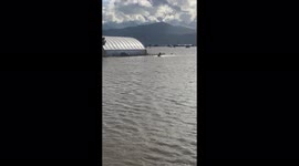 Farmer seen riding JETSKI in bid to save animals from severely flooded Vancouver property