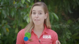 Multi-Species Exhibits Are So Important and Here’s Why!