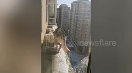 Pet owner's nightmare as husky found balancing on narrow balcony in China