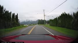 Car drives through stop sign in front of me.
