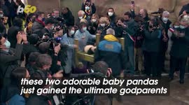Soccer Star and Diving Champion Become Godparents to Adorable Panda Cubs