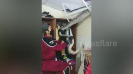Huge snake crashes through ceiling after eating family’s pet cat