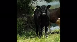 A flooded estate in the province of British Columbia, Canada