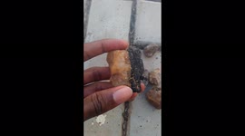 Found a realistic-looking petrified charcoal on a stone. This one is the best among several other similar stones I found in the same area.