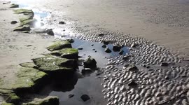 Thousands of rocks were transformed into giant artwork showing couple sheltering from rain storm