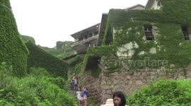 Abandoned island overgrown by plants in China