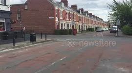 Fox hunting stag fancy dress