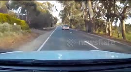 Erratic driver swerves all over Adelaide road