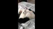temp