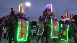 Illuminated Elephants in Parade in Thailand.