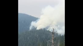 Gasquet complex fire August 10, 2015 of the feeder fire 