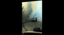 Peak fire from the Gasquet complex fires 2015