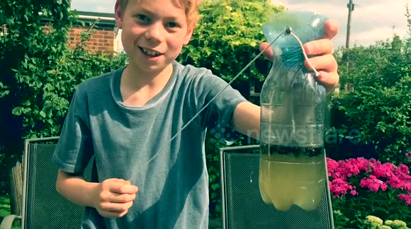 Amazing wasp catching experiment