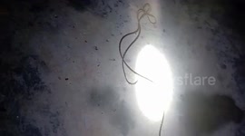 The strange animal crawled into the man's house in the middle of the night