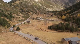 caballos pastando en una finca