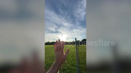 Adorable sugar gliders whose tiny costumes and outdoor antics have shot them to viral fame