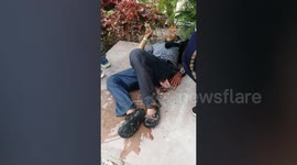 Tourist attacked by CROCODILE after 'mistaking it for a plastic model and posing for selfie in its pool'