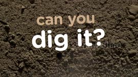 Meet One of the Most Diverse Members of the Animal Kingdom!