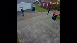 'Real-life Charlie Brown slips on pumpkin guts *Try Not to Laugh* '