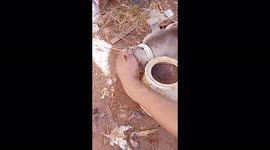 A cute husky puppy got stuck in the lid but luckily he was successfully rescued