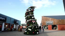 'Britain's wonkiest Christmas tree' appears in town centre