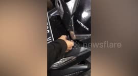 Stray cat hides inside motorcycle engine in Indonesia