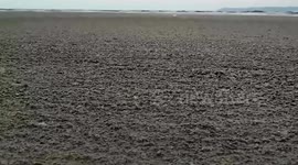 Pumice spewed by Japan undersea volcano turns beach muddy in the Philippines