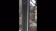 temp