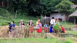 Thai tribespeople hold ceremony with elephants to pray for bountiful rice harvest