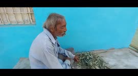 Human koala: Indian man eats poisonous eucalyptus leaves for 40 years