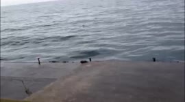 Nice view and Interesting adventures on a rocky old boat port