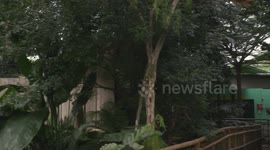 The Birds at Singapore's Jurong Bird Park Get the Highest Level of Care