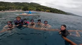 Whale shark ‘videobombs’ tourist’s vlog in the Philippines