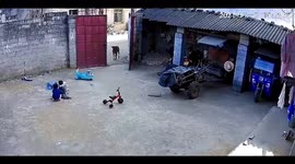 Brave 6-year-old boy scares away cow to protect younger sisters in southern China