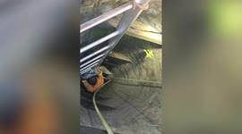 Firemen rescue kitten that fell into 50ft deep well in Indonesia