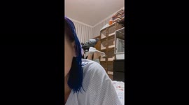 A trained domestic pigeon jumps from foot to foot of its owner