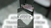temp