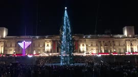 Lights turned on for ‘spindly’ for Trafalgar Square Christmas tree