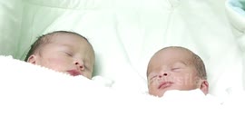 Wife of Palestinian prisoner gives birth to twins from husband's sperm smuggled out of Israeli prison