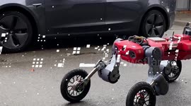 Super-advanced 'ANYmal' robot can now rear up on legs like a human