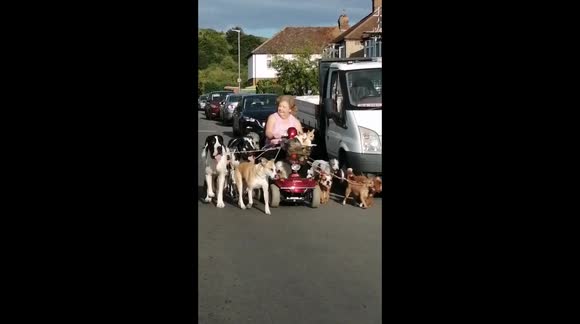 Lady on electric scooter rides with escort of 13 dogs