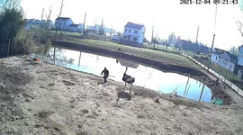 Ostrich launches attack on man who broke into private pond in China