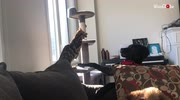 temp