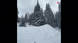 'Skier disappears into snow after botching a running flip 
'