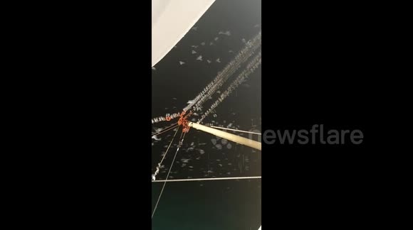 What the flock? Thousands of migrating starlings take rest on North Sea fishing boat