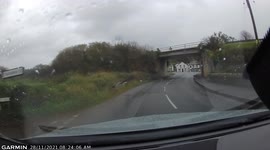 Dashcam of a heron flying into the path of the car