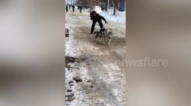 Man dragged away by huskies when attempting to walk them on snow-covered road